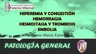 HIPEREMIA Y CONGESTIÓN  PARTE 2 [upl. by Clementine]