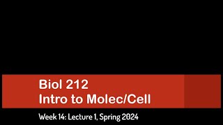 CSULB Spring 2024 Biol 212  Week 14 Lecture 1 [upl. by Zebada]