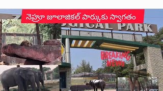 Nehru ZOOLOGICAL park Hyderabad full video in telugu 📹 👌 ♥️ watch and subscribe my channel [upl. by Edasalof]