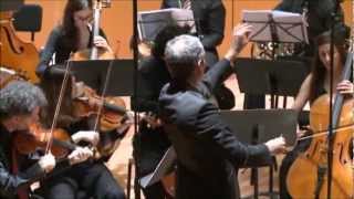 Mozart  Symphony No 40 II Andante TelAviv SoloistsBarak Tal [upl. by Grekin]