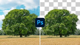 Cómo RECORTAR Árboles en Photoshop SIN Halos ni Fallos ✂️✨  Alain Perdomo [upl. by Aneerbas]