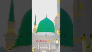 🤲💫😍Mai akela our masail jindgi ke besumar shortsviralvideo [upl. by Etiuqal811]