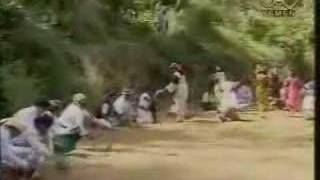 Ayoob Tarish  Yemeni Song [upl. by Iadahs]