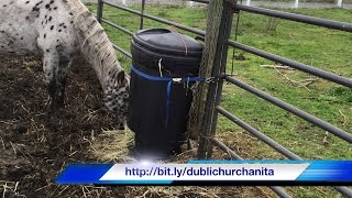 How to Make a Slow Hay Feeder from a Garbage Can  Hay Feeder [upl. by Thalassa617]