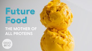 Protein made from air  Future Food [upl. by Danyluk]