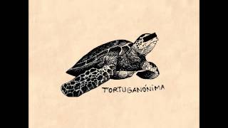 Tortuganónima  Kokoschka [upl. by Tom]