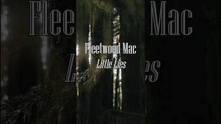 Fleetwood Mac  Little Lies shorts [upl. by Chamberlain]