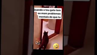 Quando o teu gato tem o mesmo problema mental do que tu 😅😅😅😅😅😅😅😅 [upl. by Nnylav]