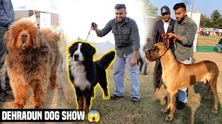 Biggest Dog Show in Uttarakhand  Dehradun Dog Show 2023😱 [upl. by Ardnasela]