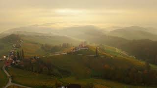 Weinberge im Nebel 7 11 2024 [upl. by Spohr582]