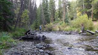 Fly Fishing Berthoud Pass Late September [upl. by Anada]