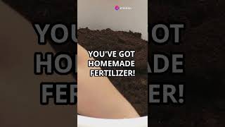 DIY Homemade Fertilizer for Plants 🌱 nature plants [upl. by Morly]