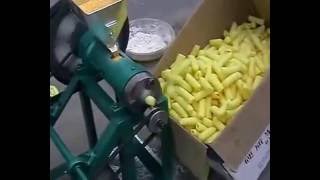 corn food extruder corn extrudermaize snack machine [upl. by Ardnaxela]