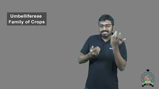 quotUmbelliferae Family of Cropsquot  Indian Sign Language Tutorial  How to sign [upl. by Sibell]