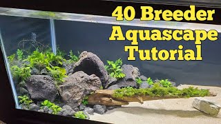 How to Aquascape a 40 Breeder  Epiphyte Aquascape [upl. by Aerdnael]