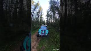 Krx 1000 vs Mud hole [upl. by Mccourt]