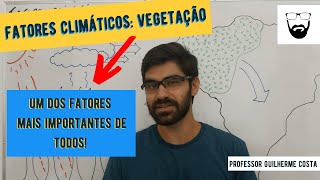 Fatores Climáticos VEGETAÇÃO Um dos fatores MAIS IMPORTANTES e você nem imaginava Ligado no Bizu [upl. by Friend416]