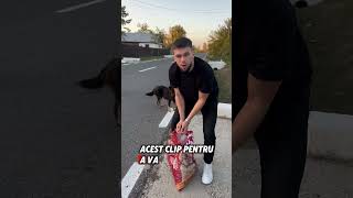 Faceti fapte bune🥹 viralvideo puppy love [upl. by Kroll]