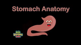 The Stomach Anatomy Song [upl. by Brenna]