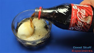 Egg vs Coke  Science Experiment [upl. by Hcnarb]