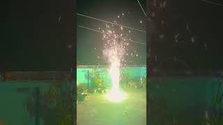 FlowerPot bhojpuri song love music fireworks diwali kolkatadiwali pataka [upl. by Mandy]