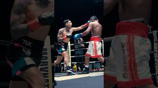 Fernando Vargas Jr Knock OUT Boxing [upl. by Orola]