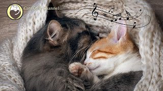 528 Hz Deep Healing Music for Stressed and Anxious Cats with cat purring sounds [upl. by Eitsirc641]