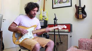 Giannini Supersonic 1978  Natural Finish  Review [upl. by Nilrah]