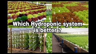 Hydroponics Which system is better [upl. by Attelocin960]