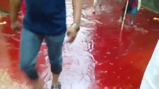 ᴴᴰ RIVERS OF BLOOD  Dhaka streets turn into blood rivers on Muslim festival EID to prove Sacrifice [upl. by Blanch]