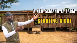 SEMANHYIA FARMS FULFILS ALL TRADITIONAL REQUIREMENTS TO START A NEW FARM [upl. by Lled]