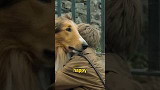 2 Escapes The Dogs Road To Bravery movieshorts [upl. by Etirugram350]