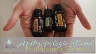 Anthropologie Blend All Purpose Cleaner [upl. by Arehs]