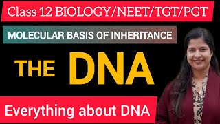 MOLECULAR BASIS OF INHERITANCETHE DNANUCLEOTIDENUCLEOSIDESTRUCTURE OF DNA [upl. by Ardnasyl]