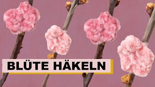 BluÌˆten haÌˆkeln ðŸŒ¸ hÃ¤keln hÃ¤kelanleitung [upl. by Ivanna27]