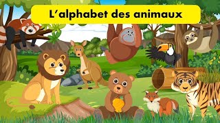 L alphabet avec les animaux [upl. by Larret]