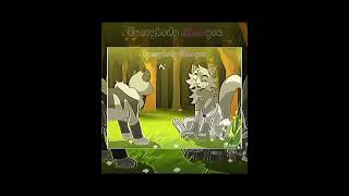 Warrior cats edit crédits in desc lgdc warriorcats ivypool dovewing [upl. by Nonez]