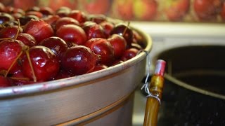 How to make Crabapple Jelly [upl. by Aralk]