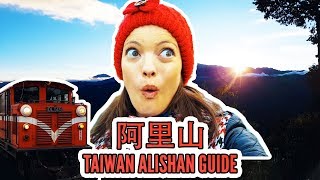 外國人去阿里山森林鐵路  老式火車，可怕的蜘蛛，糟糕的饒舌 ALISHAN TRAVEL GUIDE  What to do in Chiayi Taiwan [upl. by Tegdirb]