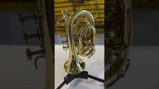 Pocket Eagle trumpet jazz music tubas [upl. by Enowtna354]