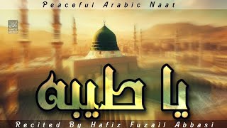 Ya Taiba  Arabic Naat  2024  Hafiz Fuzail Abbasi  New Naat 2024 [upl. by Halyk]