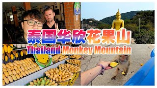 泰国华欣 “花果山”  空拍机撞树  海滩粉系餐厅  大金佛像 HuaHin Monkey Mountain  Secret Beach Cafe  Drone Crash VLOG147 [upl. by Imit]