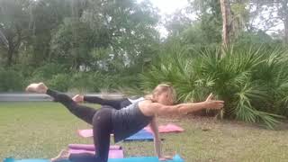 Live yoga from Brooker Creek Preserve [upl. by Isdnyl716]