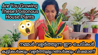 20 Poisonous House Plants Dangerous for Kids amp Pets  വീടുകളിൽ വളർത്തുന്ന വിഷാംശമുള്ള 20 ചെടികൾ [upl. by Boru]