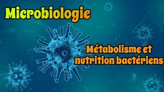 Microbiologie  Métabolisme et Nutrition Bactériens  7éme vidéo [upl. by Assirual]