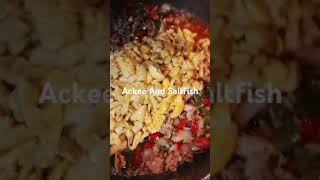 Ackee And Saltfish edm [upl. by Venator166]