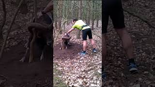 Man rescues this trapped mouflon 😮👏  🎥 Viralhog [upl. by Arlene529]