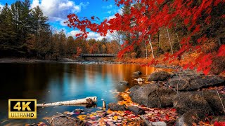 Majestic Aerial Views of Autumn Landscapes 4k UHD Calm Piano Music [upl. by Sang681]