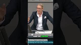 Missbrauch des Verfassungsschutzes Eine Bedrohung für die Demokratie [upl. by Lauraine599]