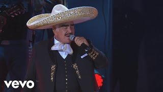 Vicente Fernández  Hermoso Cariño En VivoUn Azteca en el AztecaVersión Editada [upl. by Doownelg]